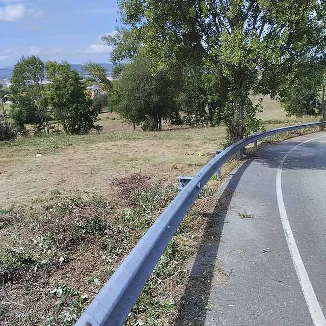 Dosanveira Servicios De Jardineria árboles en carretera